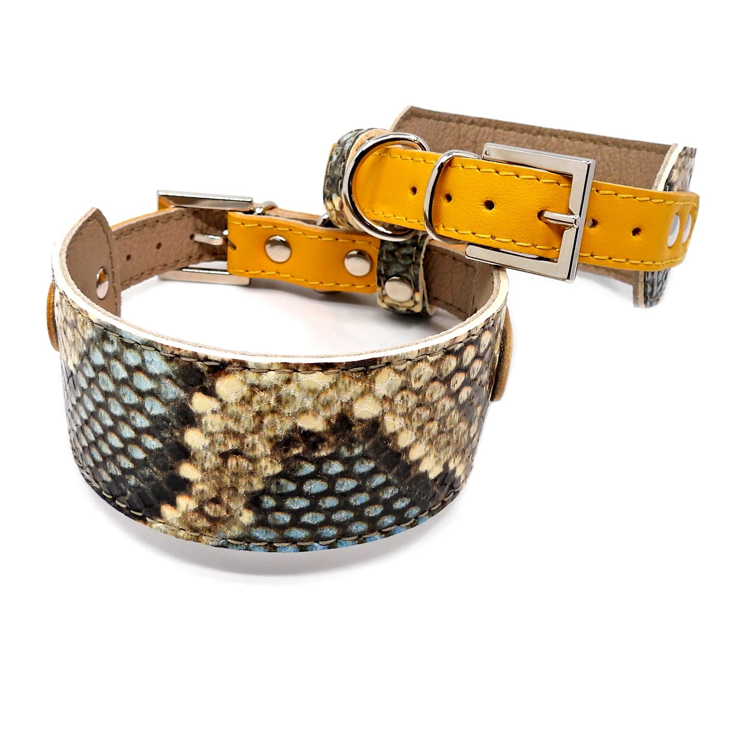 Lederhalsband für Windhunde, SMART-Kollektion - Amoquo-Serie