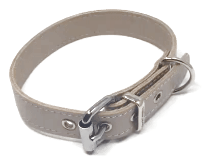 Hundehalsband aus Leder, SMART-Kollektion - Beige