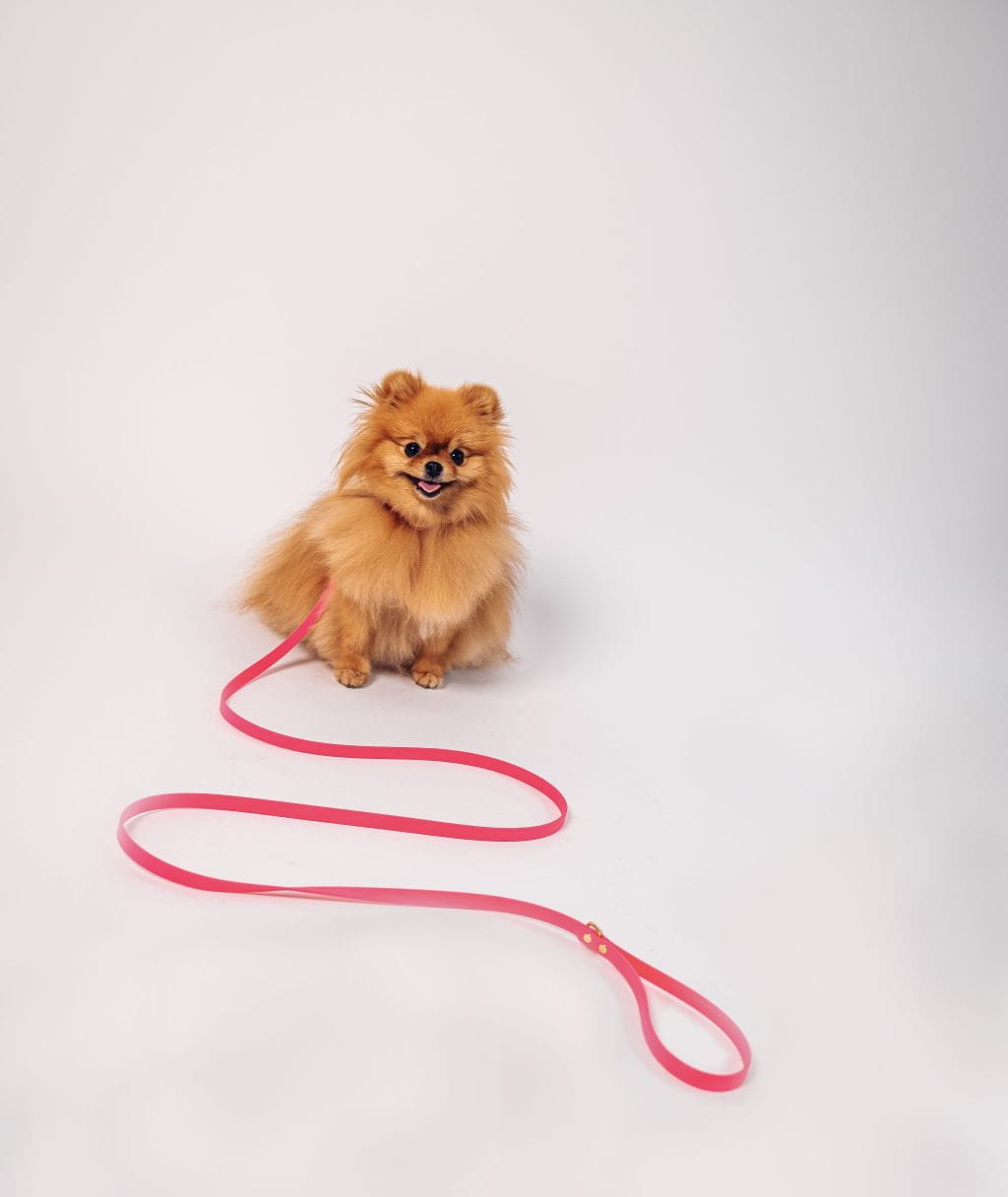 BioThane® Wasserfeste Hundeleine - Fuchsia