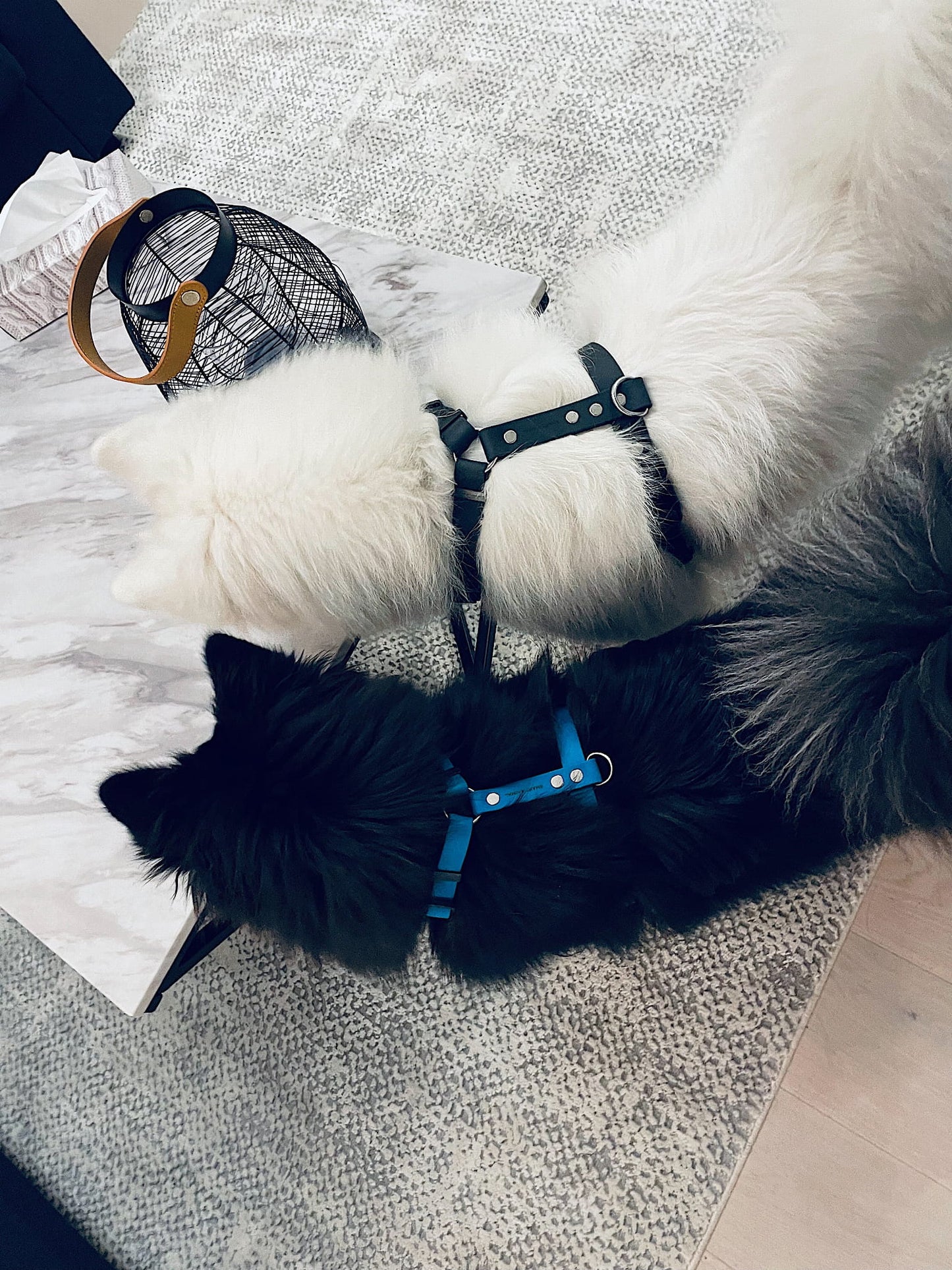 BioThane® Hundegeschirr (Smart Sport - Modell Guard) - verschiedene Farben