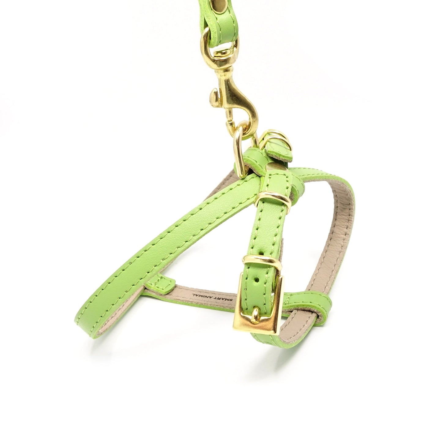 Hundegeschirr Piccolo - Leder - limette
