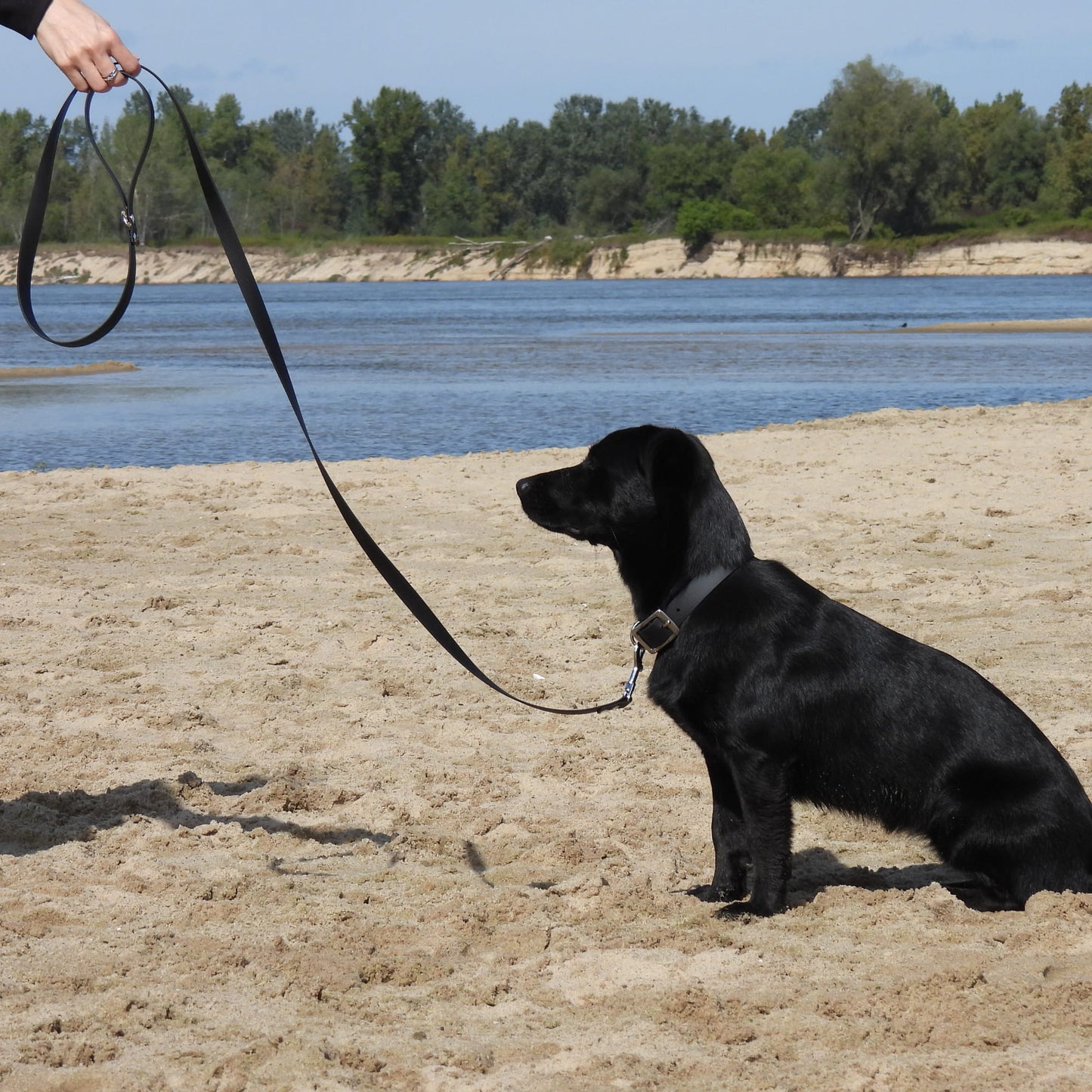 BioThane® Wasserfeste Hundeleine - Schwarz