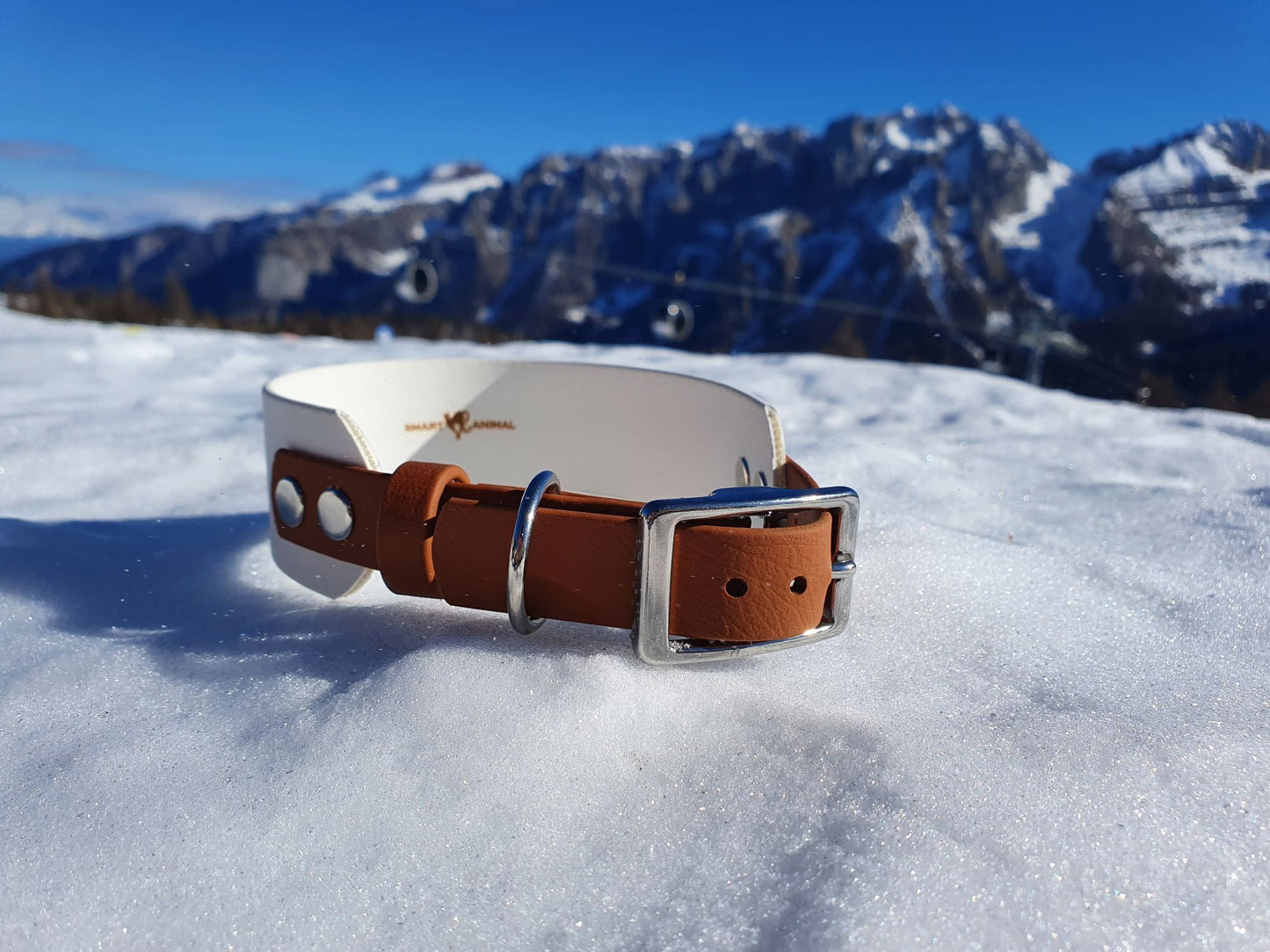 BioThane® Breithalsband für Windhunde - Weiß