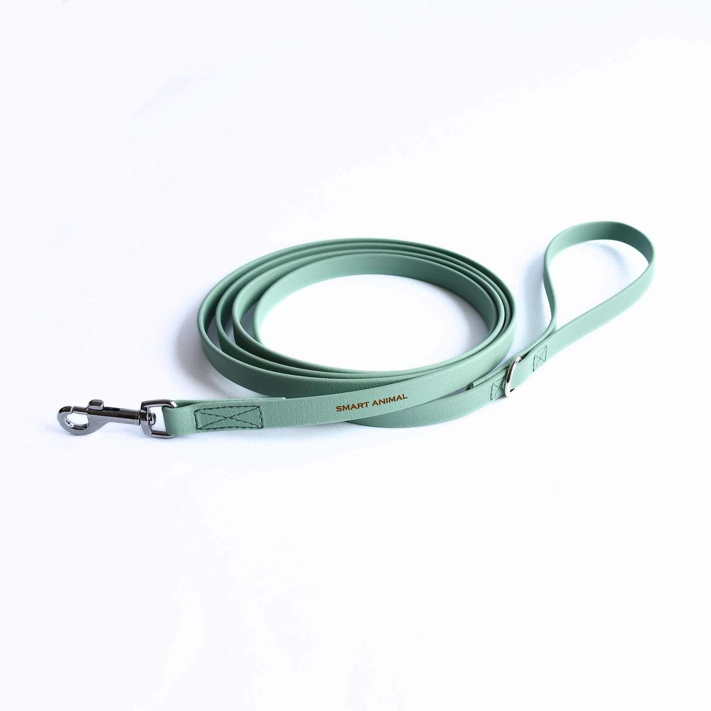 BioThane® Wasserfeste Hundeleine - Salbeifarbe