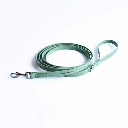 BioThane® Wasserfeste Hundeleine - Salbeifarbe