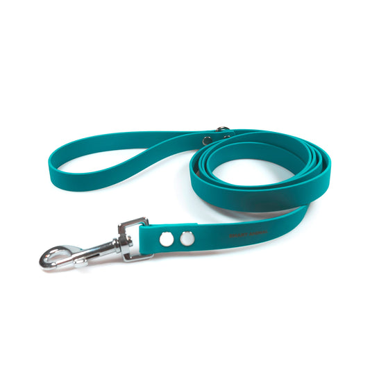 BioThane® Wasserfeste Hundeleine - Azurblau
