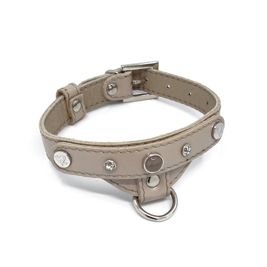 Lederhalsband für einen kleinen Hund, beige