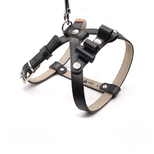 Ledergeschirr für einen kleinen Hund - Schwarz