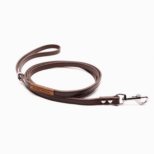 Lederleine, Länge 140 cm - Serie Braun