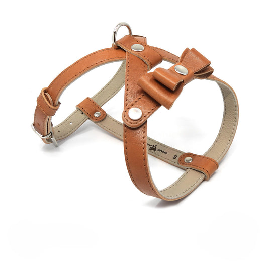 Ledergeschirr für einen kleinen Hund - Karamellfarbe
