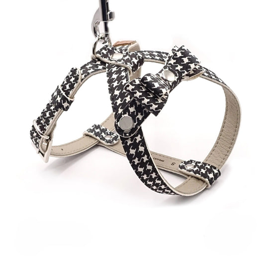 Ledergeschirr für einen kleinen Hund - Schwarz/Weiß
