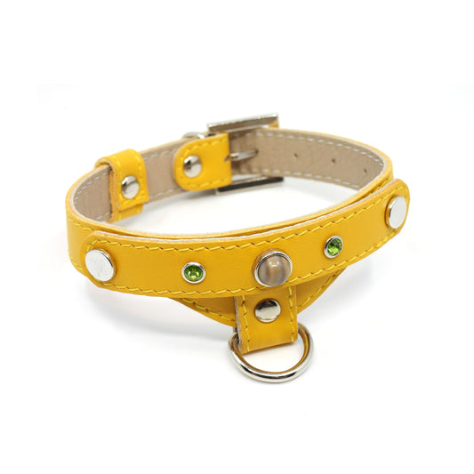Lederhalsband für einen kleinen Hund, gelb