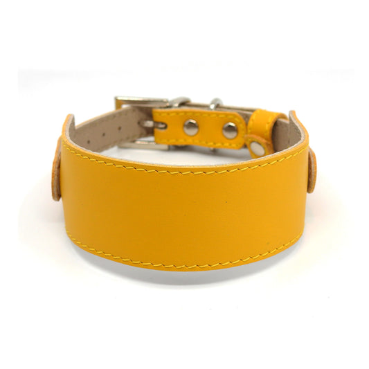 Lederhalsband für Windhunde, SMART-Kollektion - Gelb