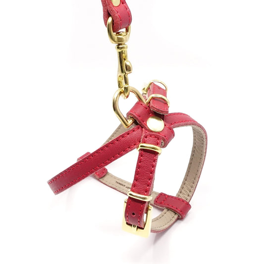 Hundegeschirr Piccolo - Leder - rot