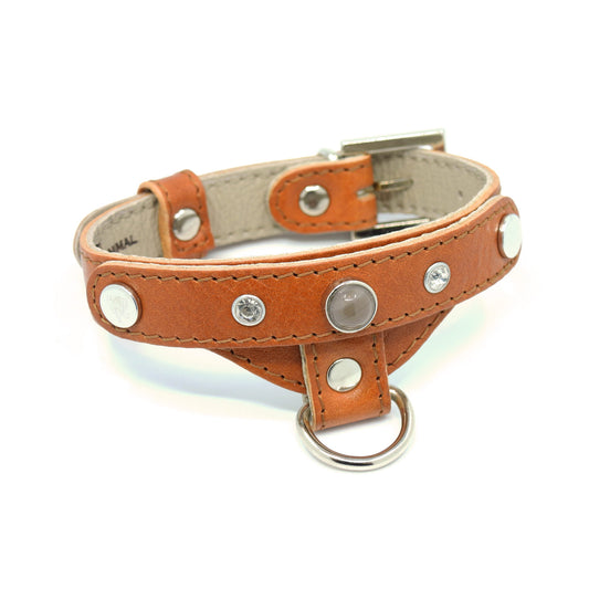 Lederhalsband für einen kleinen Hund, karamellfarben