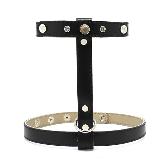 Geschirr für Katzen - Leder - schwarz