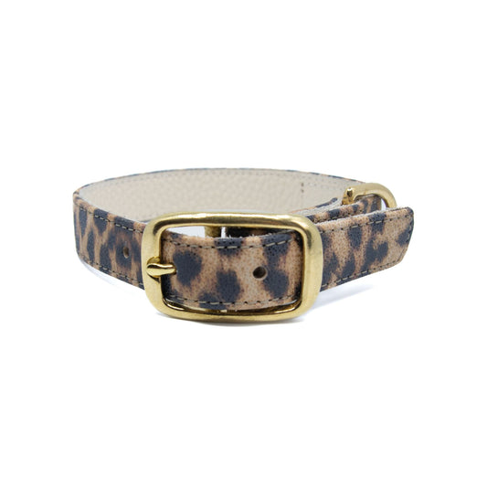 Lederhalsband für einen großen Hund - Leopard Blink mit goldenen Beschlägen