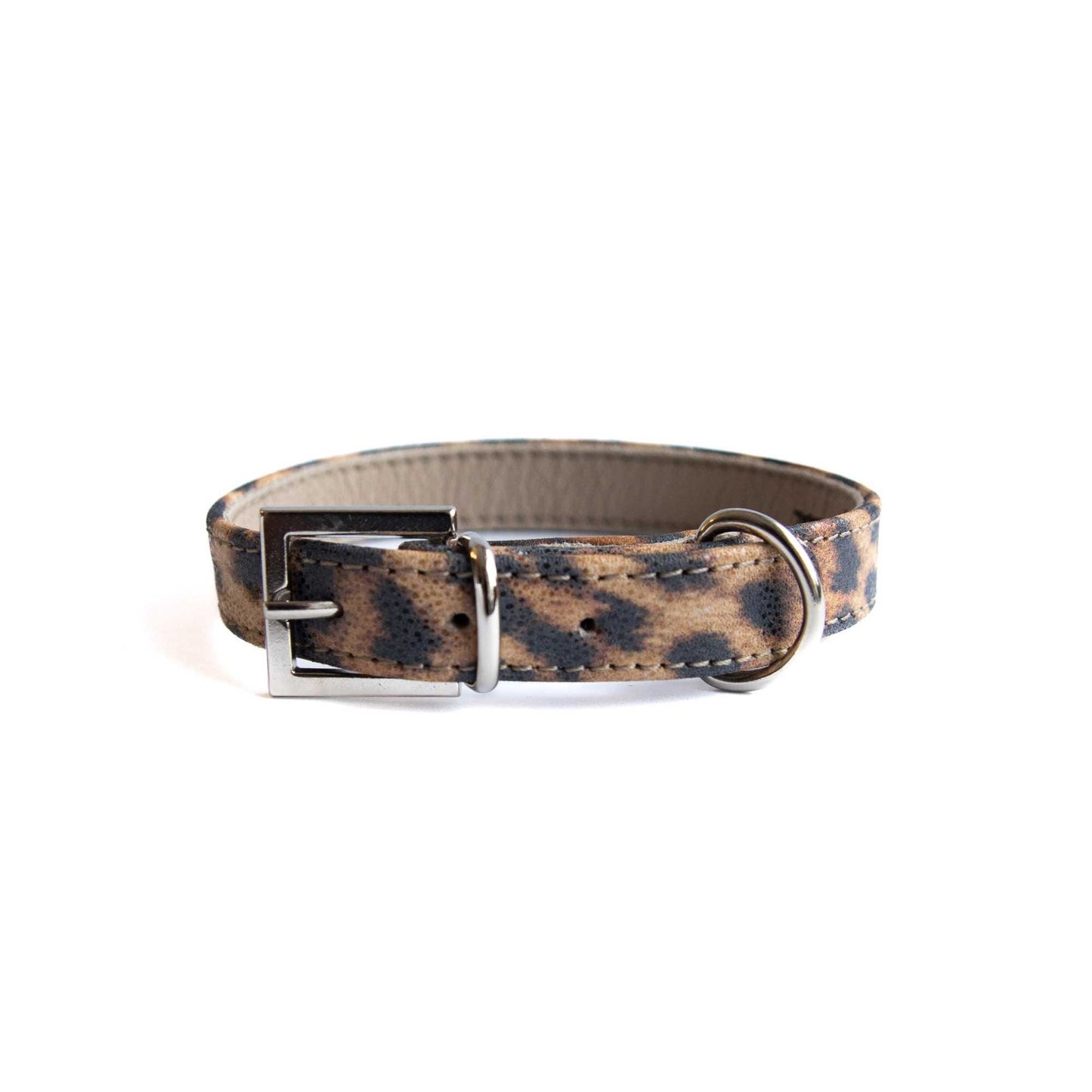 Lederhalsband für kleine Hunde - Leopard Blink mit silbernen Beschlägen