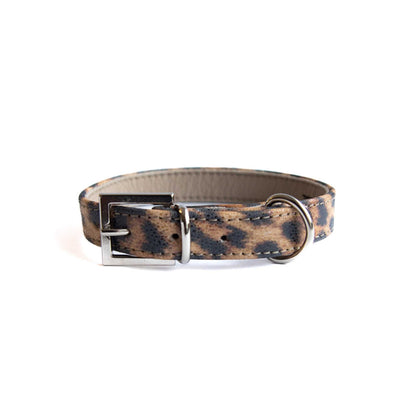 Lederhalsband für kleine Hunde - Leopard Blink mit silbernen Beschlägen