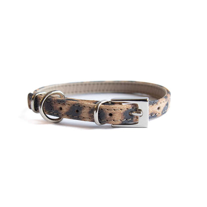 Lederhalsband für kleine Hunde - Leopard Blink mit silbernen Beschlägen