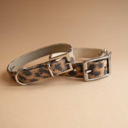 Lederhalsband für kleine Hunde - Leopard Blink mit silbernen Beschlägen