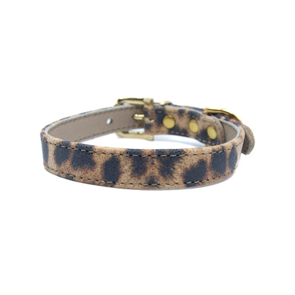 Lederhalsband für kleine Hunde - Leopard Blink mit goldenen Beschlägen