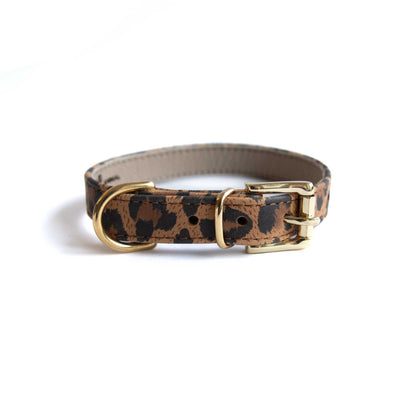 Lederhalsband für kleine Hunde - Leopard Ginger mit goldenen Beschlägen