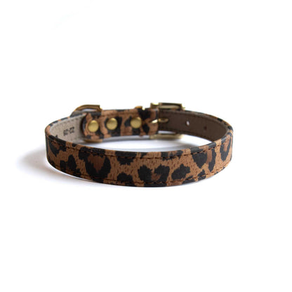Lederhalsband für kleine Hunde - Leopard Ginger mit goldenen Beschlägen