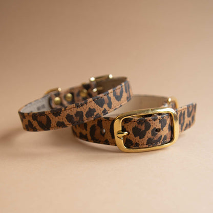 Lederhalsband für kleine Hunde - Leopard Ginger mit goldenen Beschlägen