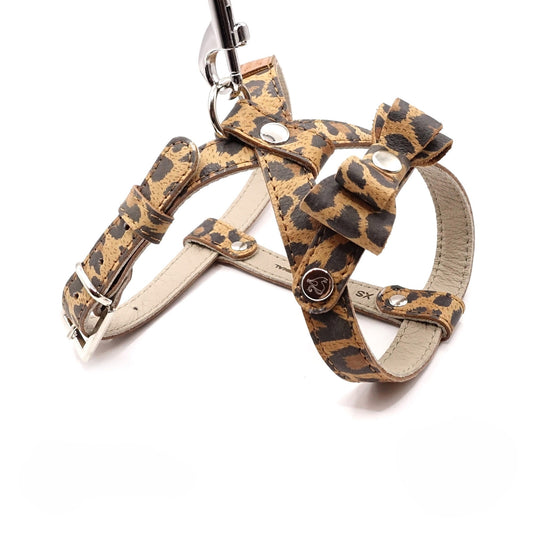 Ledergeschirr für einen kleinen Hund - Leopardenmuster