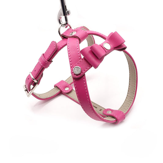 Ledergeschirr für einen kleinen Hund - Rosa