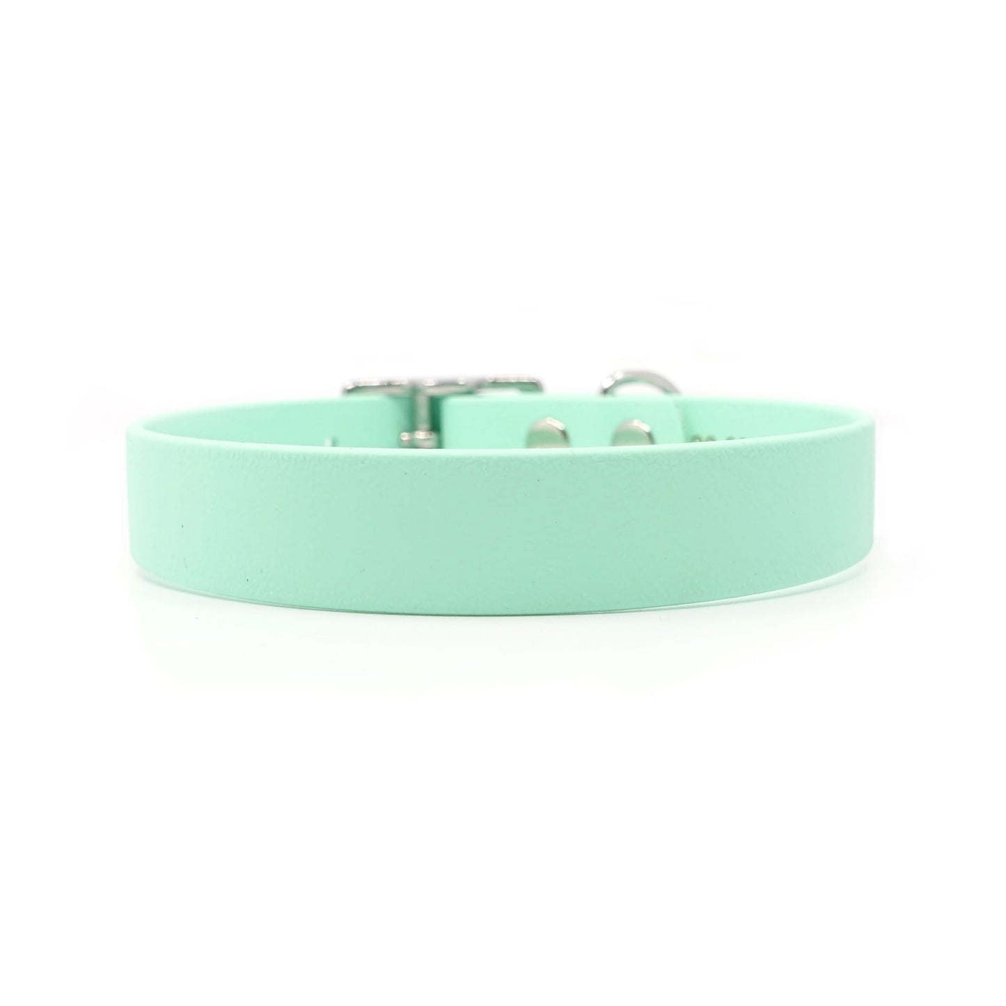 BioThane® Premium-Halsband (Prestige Sport) - Mint