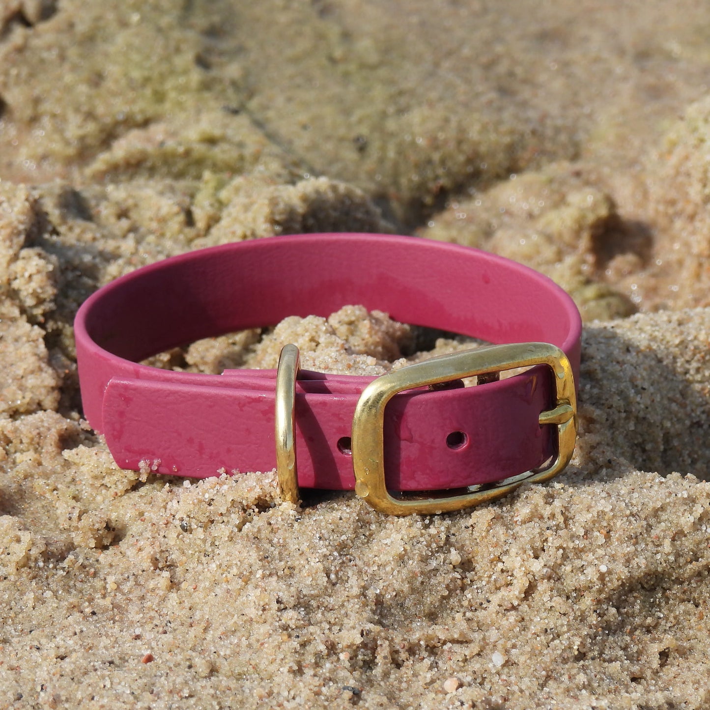 BioThane® Premium-Halsband (Prestige Sport) - Weinfarbe