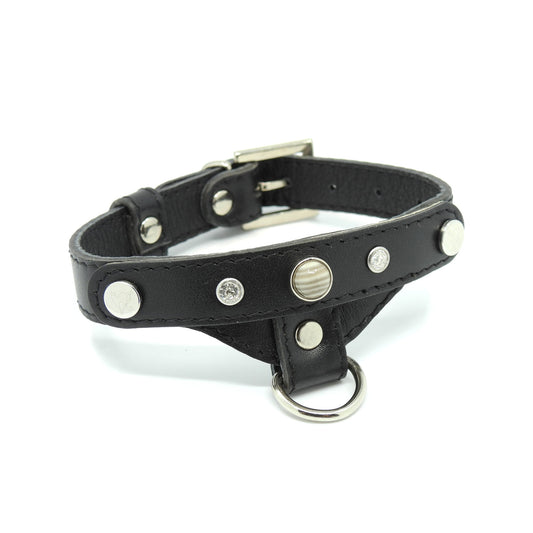 Lederhalsband für einen kleinen Hund, schwarz