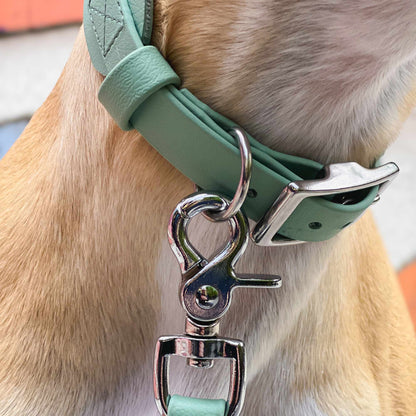 BioThane® Breithalsband für Windhunde (Pomerdane) - Salbei