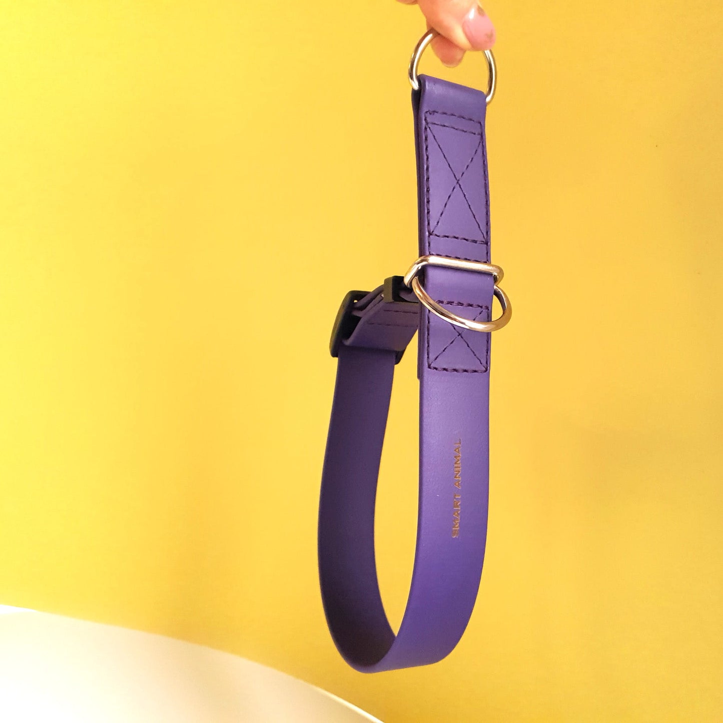 BioThane® Halb-Zugstopp-Halsband - Sport Kollektion - Lila